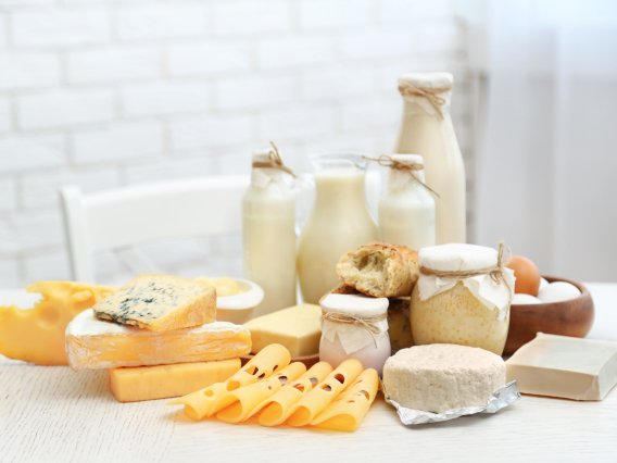 Dairy Products