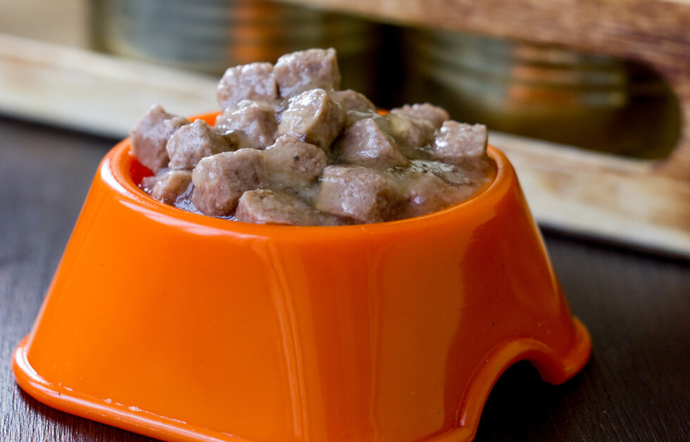 Wet Pet Food